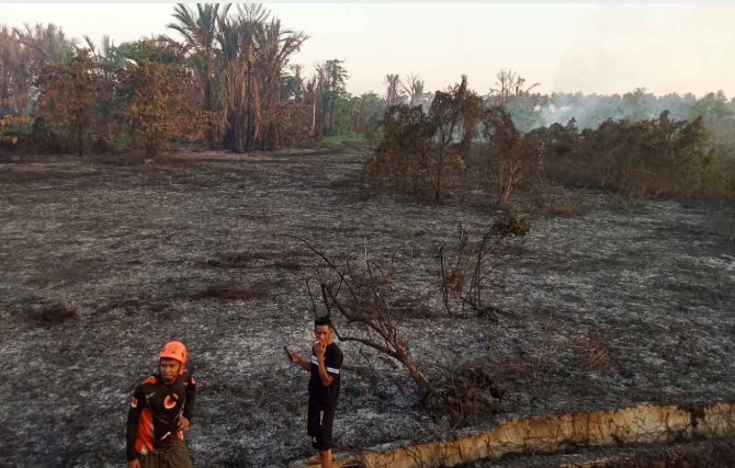 Lahan Seluas 5 Hektar di Donggala Terbakar, BPBD Pastikan Tak Ada Korban 