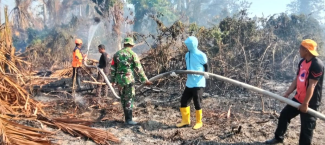 Karhutla Desa Malino Donggala, 5 Hektar Lahan Hangus Terbakar